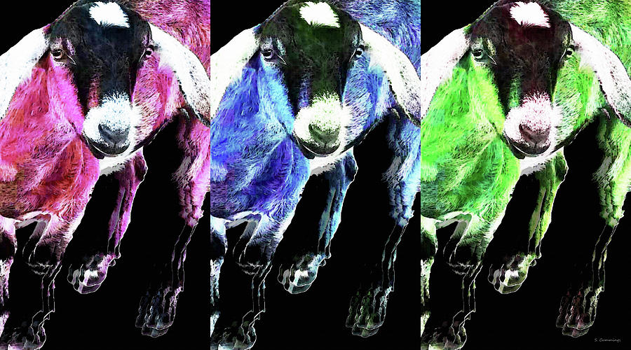 Pop Art Goats Trio - Sharon Cummings Painting by Sharon Cummings