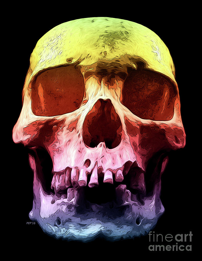 Pop Art Skull Face Digital Art by Phil Perkins