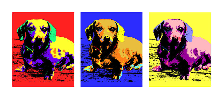 pop pets dachshund