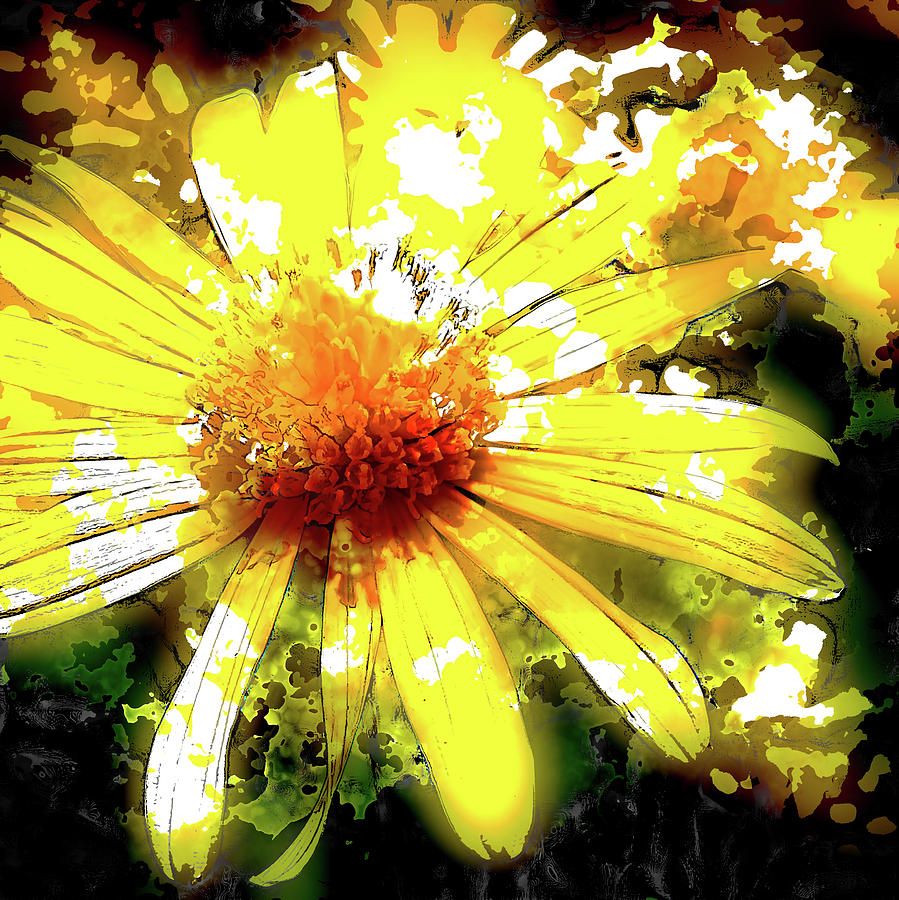  Pop Art Daisy Photograph by HH Photography of Florida
