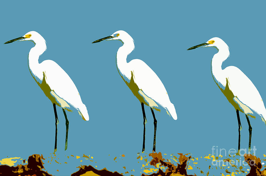 Pop egrets Painting by David Lee Thompson