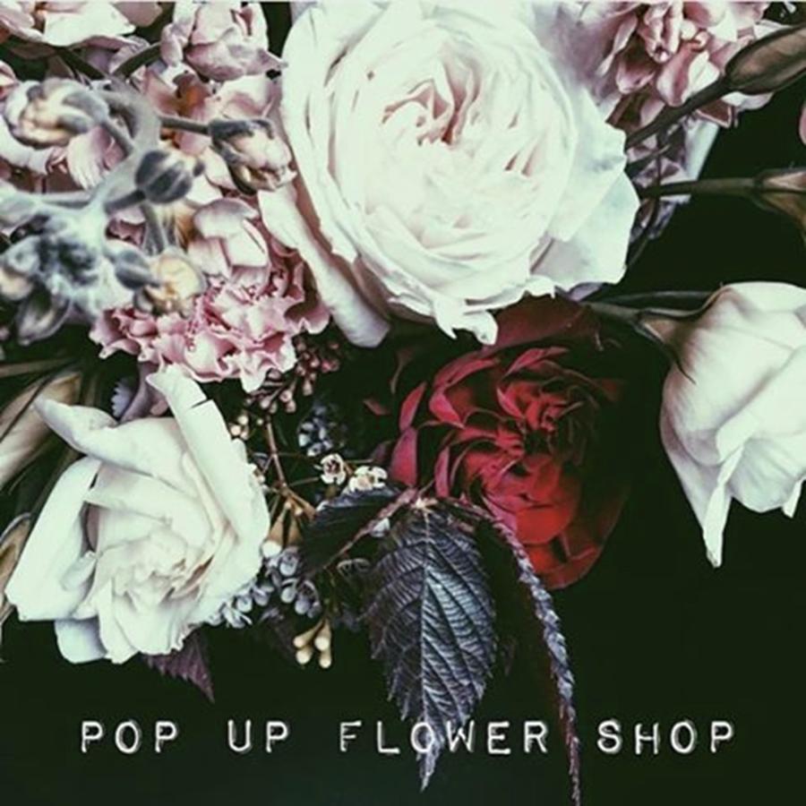 Pop-up Flower Shop This Saturday Photograph by Jac Mason
