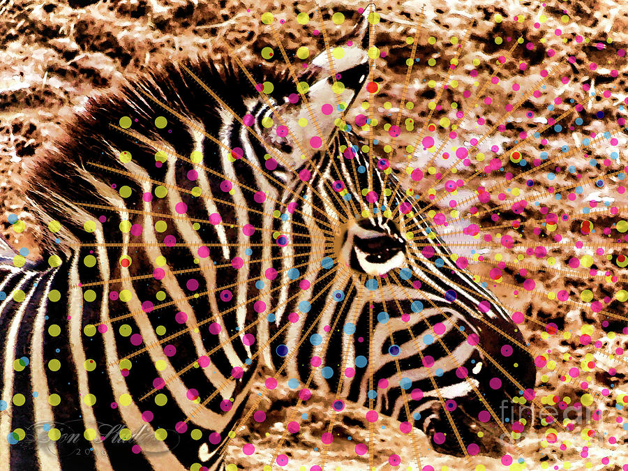 Pop Zebra Photograph by Melissa Messick
