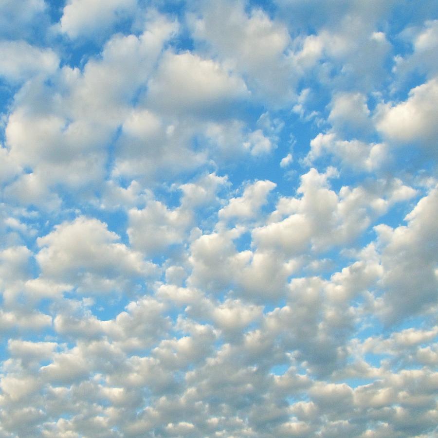 Popcorn Clouds Photograph by Marianna Mills