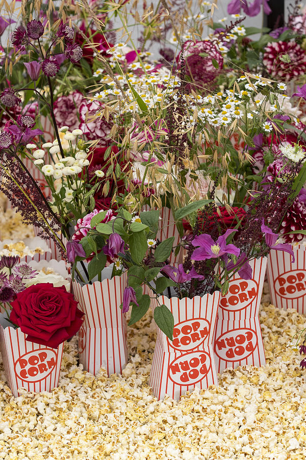 Popcorn Flower arrangement  Photograph by Chris Smith