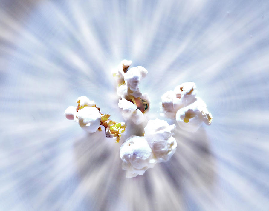 Popcorn Photograph by Hugh Smith