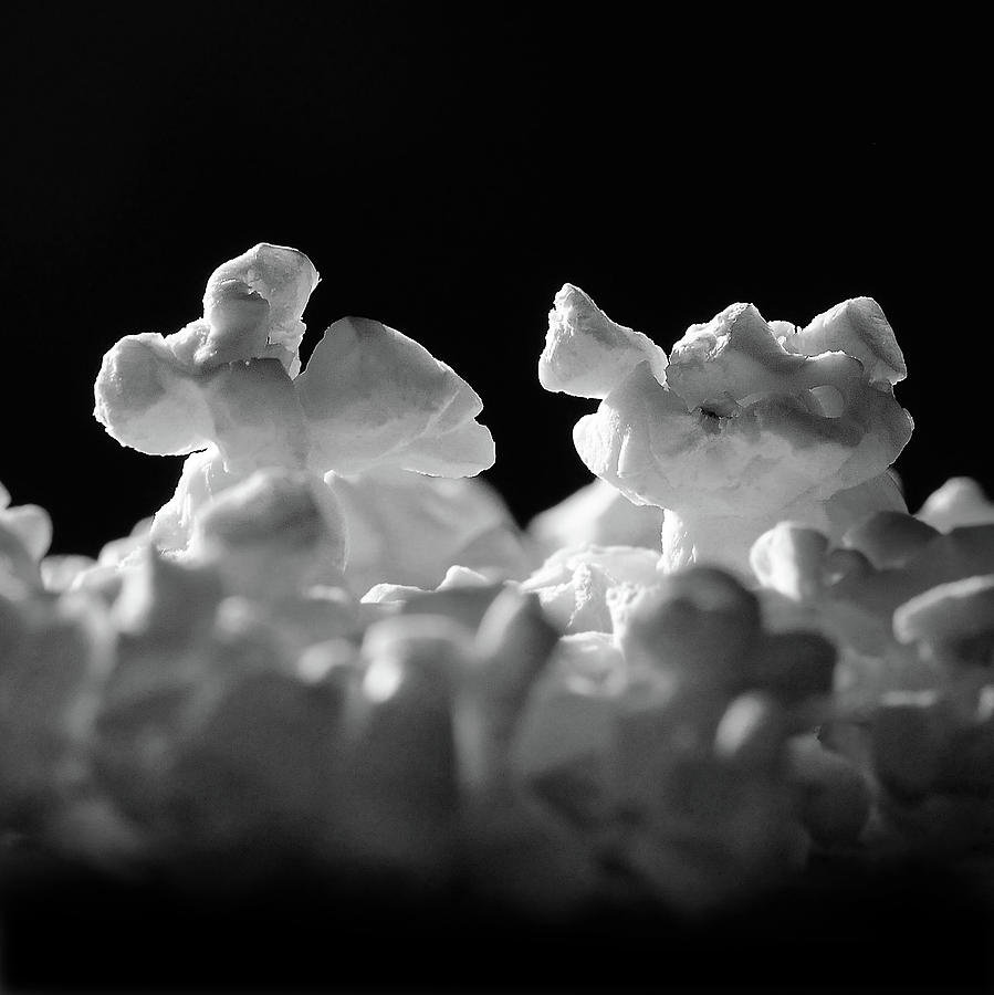 Popcorn Paso Doble Photograph by Ted Keller