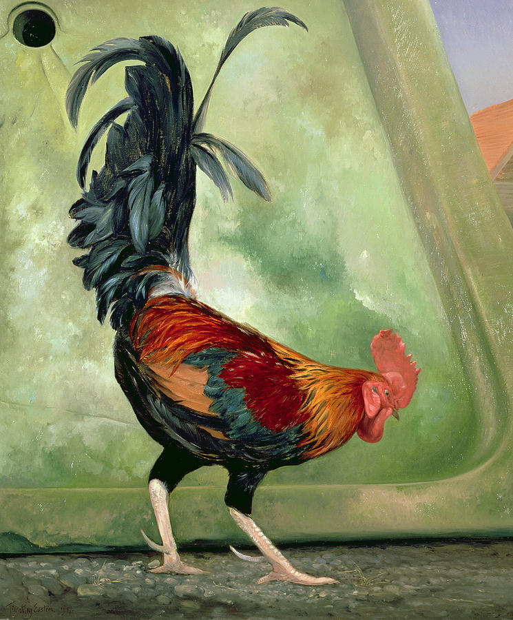 Rooster Painting - Popinjay by Timothy Easton