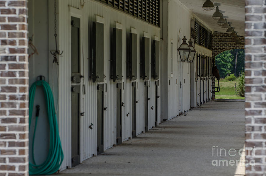 Poplar Grove Equestrian Center Photograph