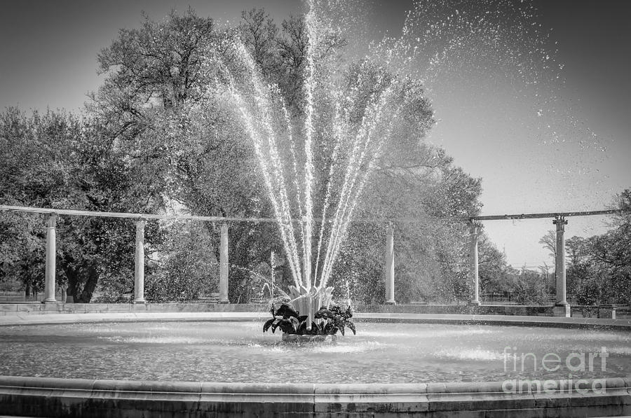 Popp Fountain -NOLA - BW Photograph by Kathleen K Parker