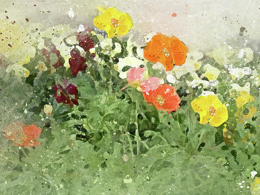 Poppies 2-F Digital Art by Peggy Cooper-Hendon