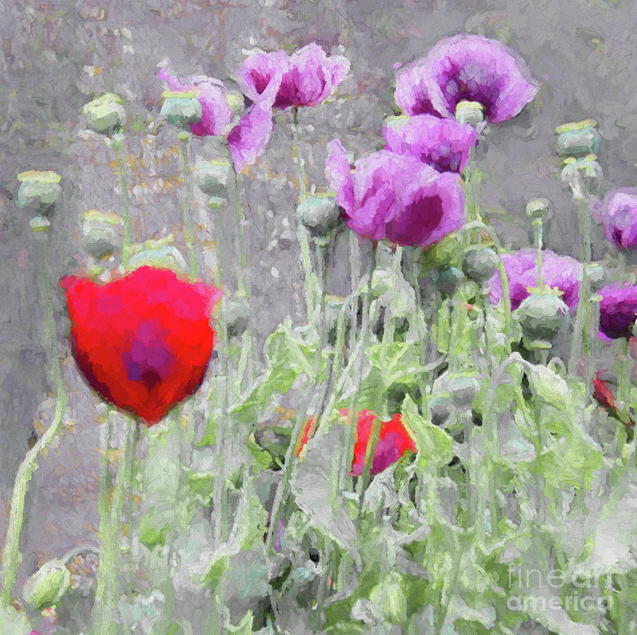 Poppies, 2018 Mixed Media by Helen White