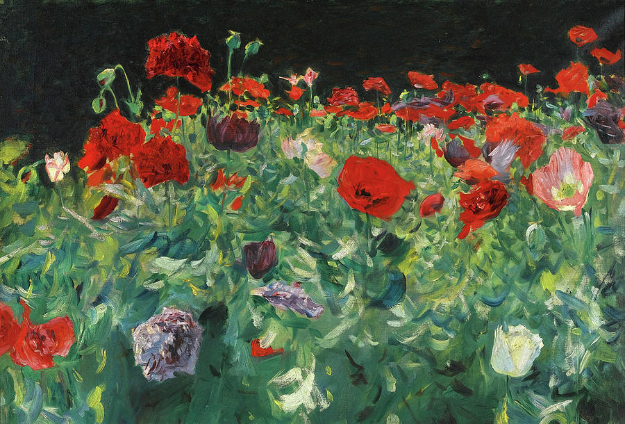 Poppies. A Study of Poppies for Carnation Lily Lily Rose Painting by John Singer Sargent