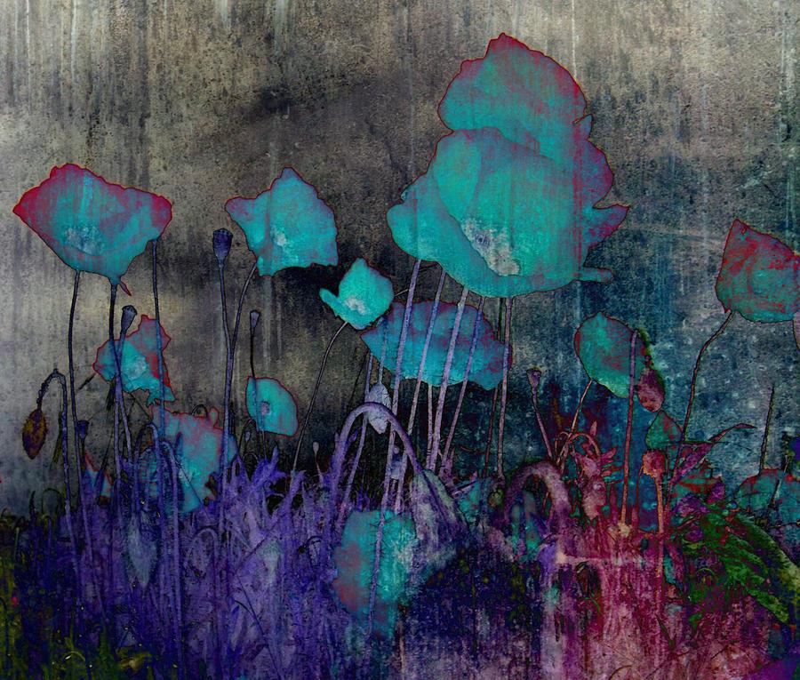 Poppies Abstract Photograph by Marianna Mills
