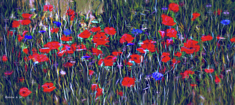 Poppies and Bachelor Buttons Digital Art by Bonnie Willis
