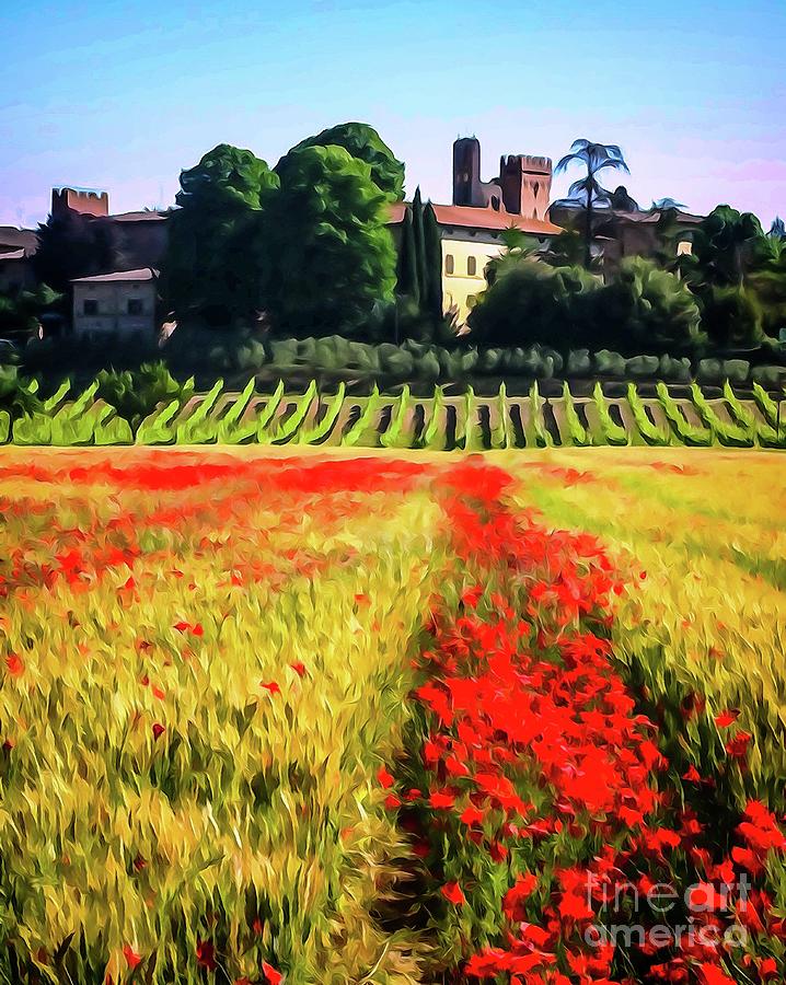 Poppy Photograph - Poppies Bloom in Tuscany by Bob Lentz