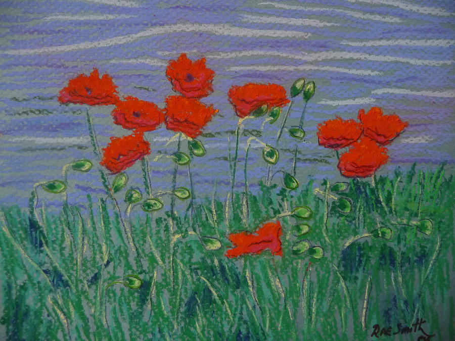 Poppies by the sea Pastel by Rae  Smith PSC