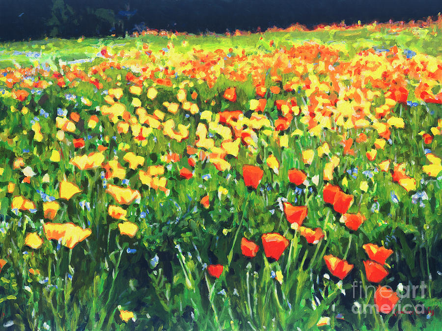 Poppies Painting by Candace Lovely