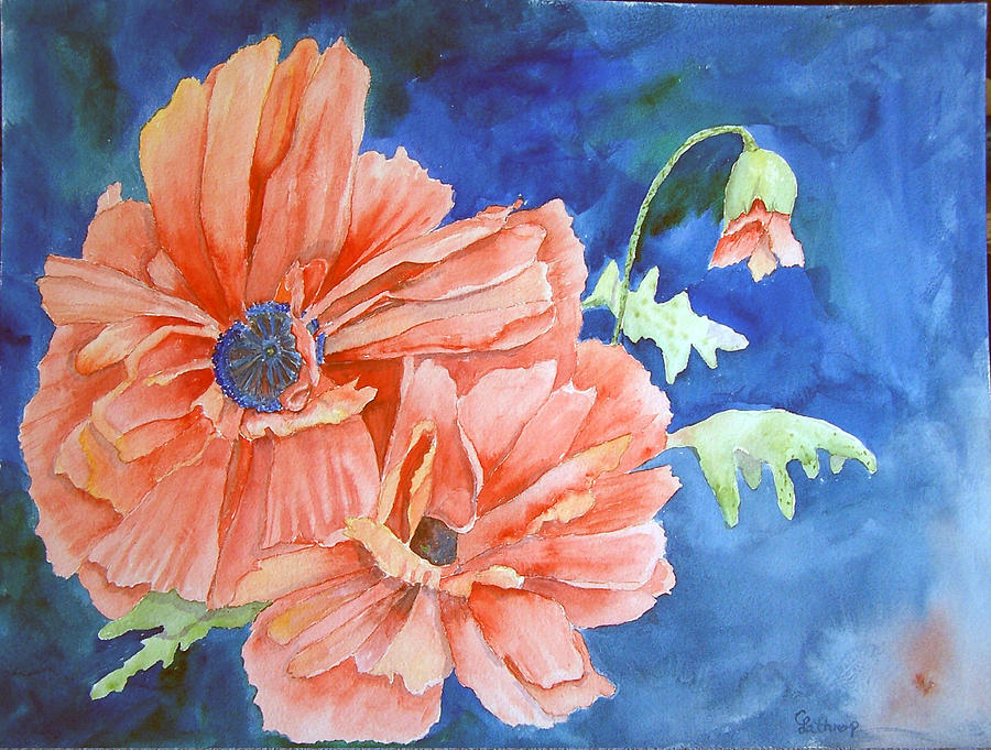Poppies Painting by Christine Lathrop