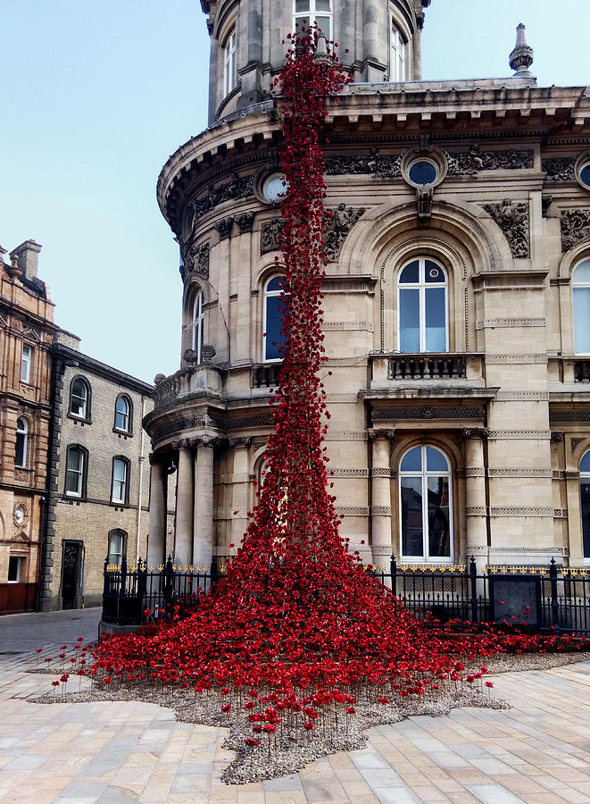 Poppies - City of Culture 2017, Hull by Sarah Couzens Poppies - City of Culture 2017, Hull by Sarah Couzens