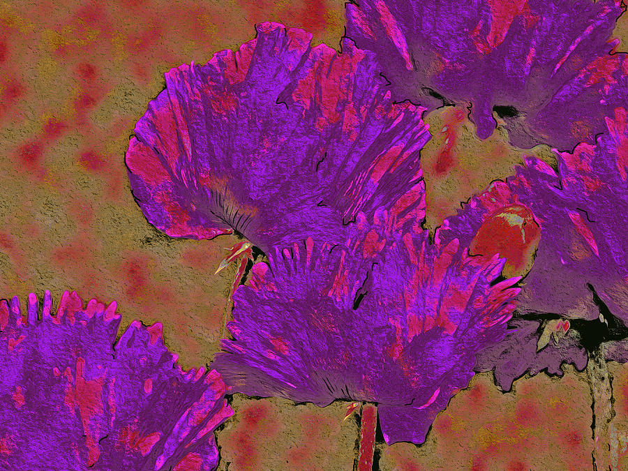 Poppies Defining Space 20 Digital Art