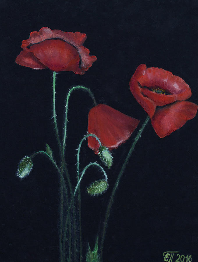 Poppies Flowers On The Black Background Painting By Elena Pavlova