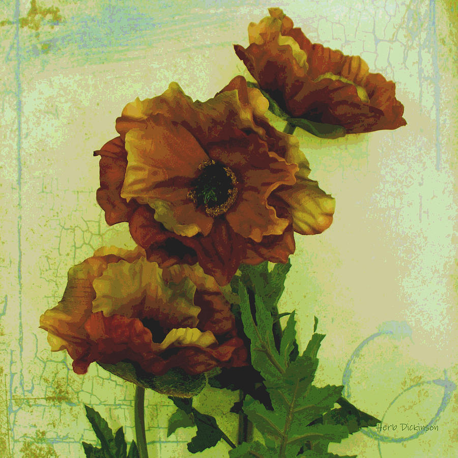 Poppies I Mixed Media by Herb Dickinson