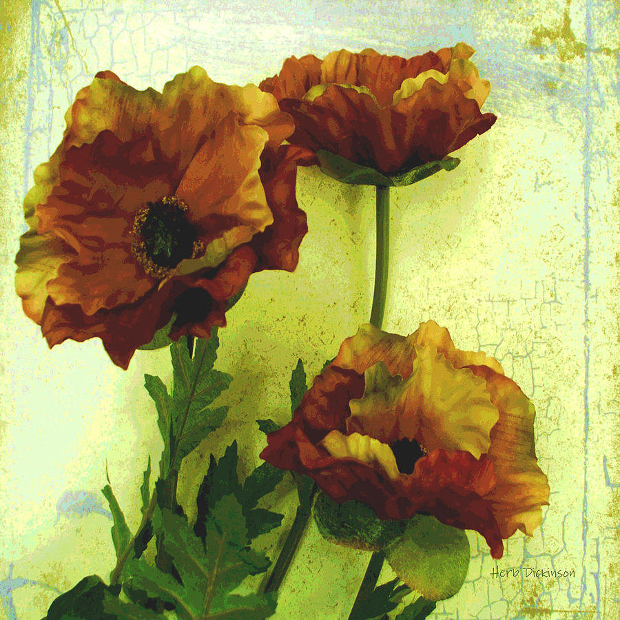 Poppies II Mixed Media by Herb Dickinson