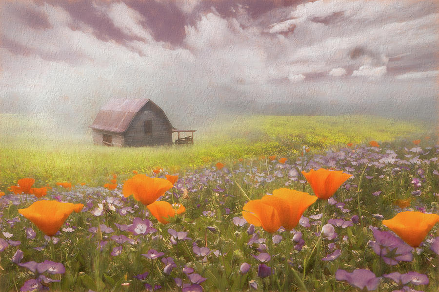 Poppies in a Dream Watercolor Painting Photograph by Debra and Dave Vanderlaan