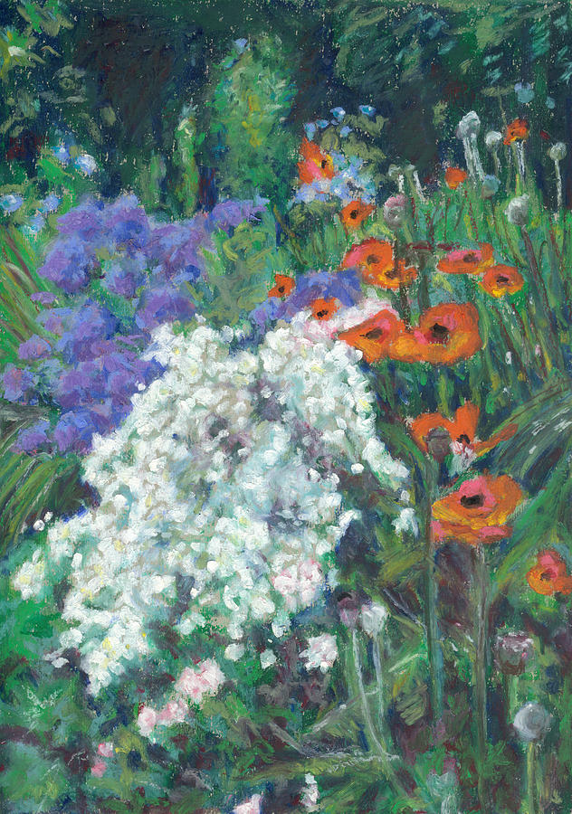 Poppies in June Garden Pastel by Judy Adamson - Fine Art America