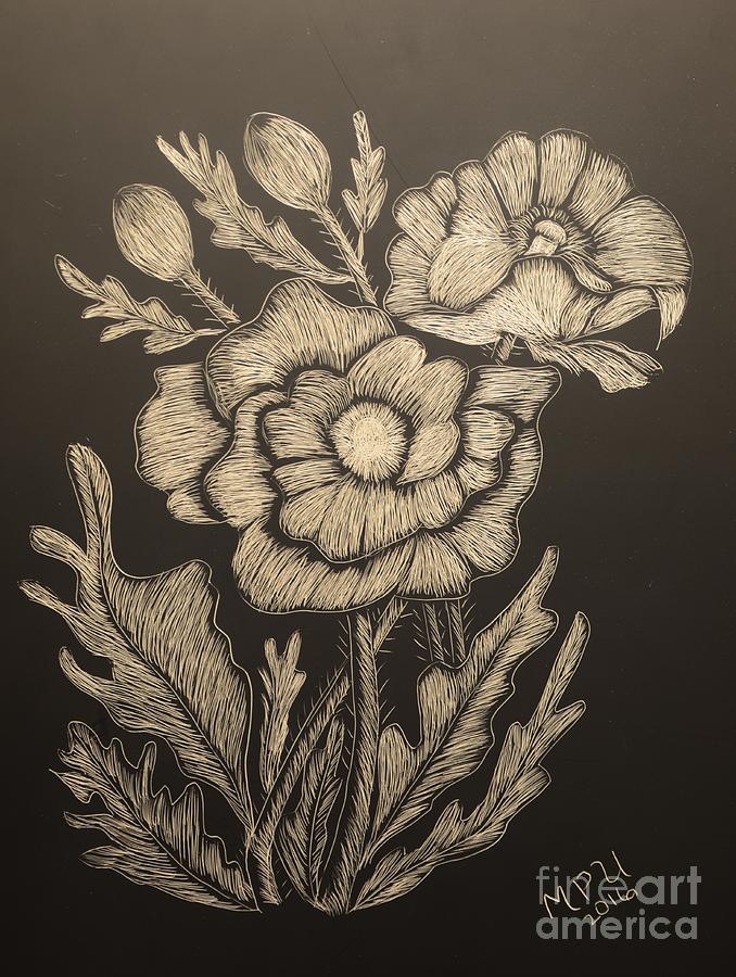 Poppies in May Drawing by Maria Urso