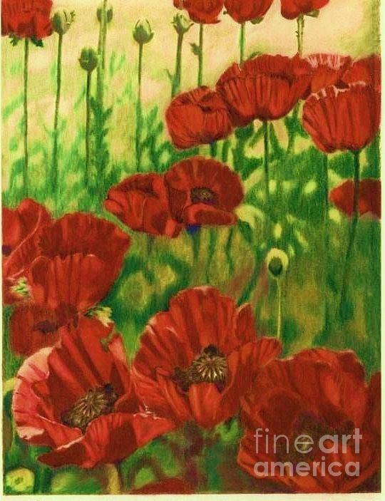 Poppies In The Shade by Trish Emery Poppies In The Shade by Trish Emery