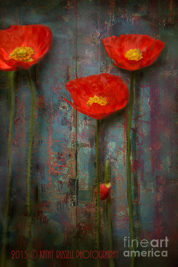 Poppies Photograph by Kathy Russell