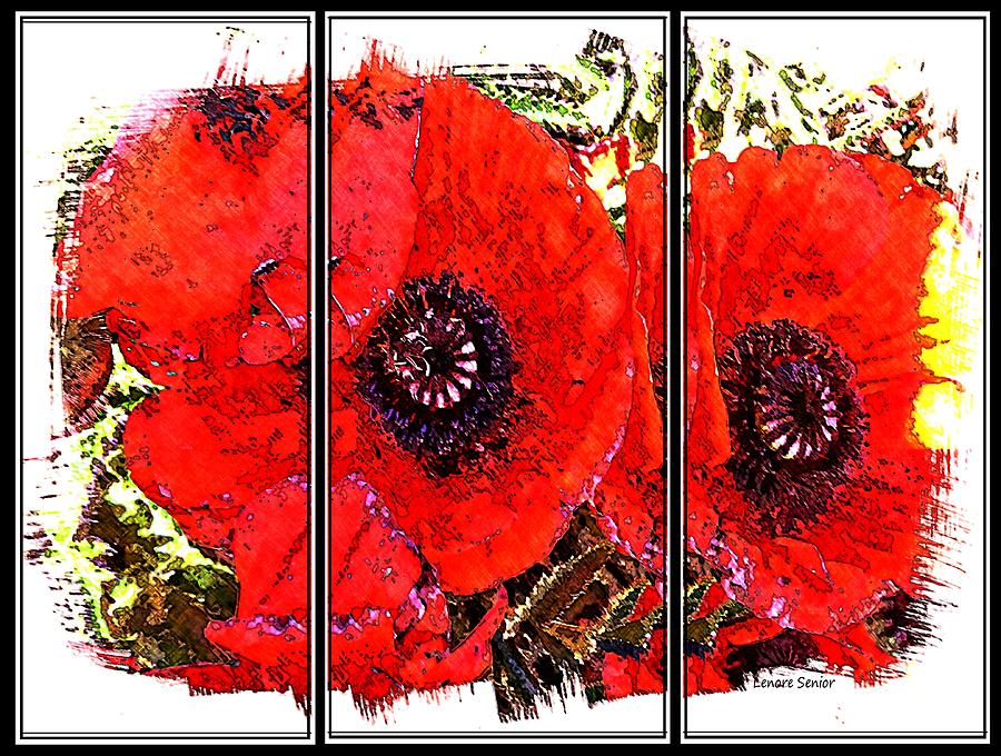 Poppies Photograph by Lenore Senior