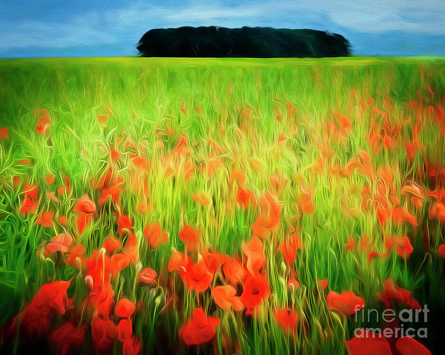 Poppies of the Cotswolds Digital Art by Edmund Nagele FRPS