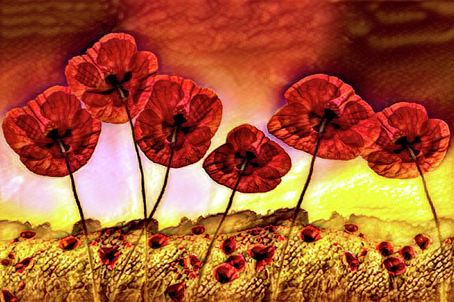 Poppies on Fire Vivid Painting Photograph by Debra and Dave Vanderlaan