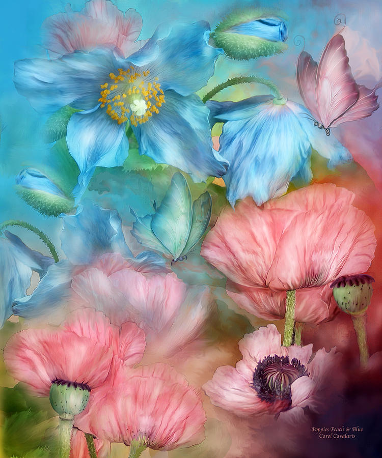 Poppies Peach and Blue Mixed Media by Carol Cavalaris