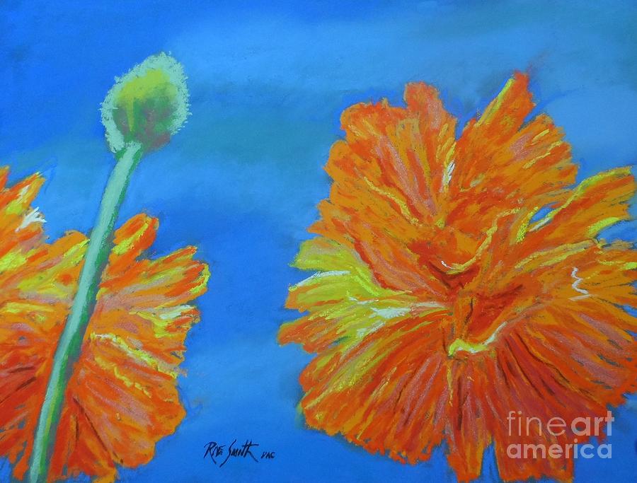 Poppies  Pastel by Rae  Smith PAC