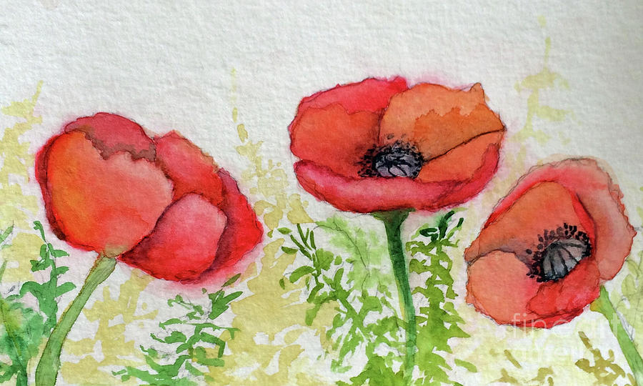 Poppies Sketch Painting