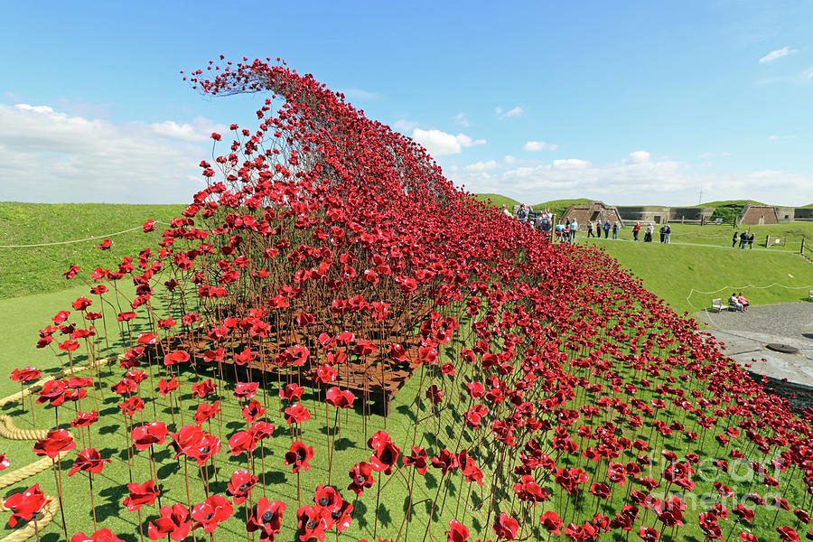 Poppies Wave at Fort Nelson UK Photograph by Julia Gavin