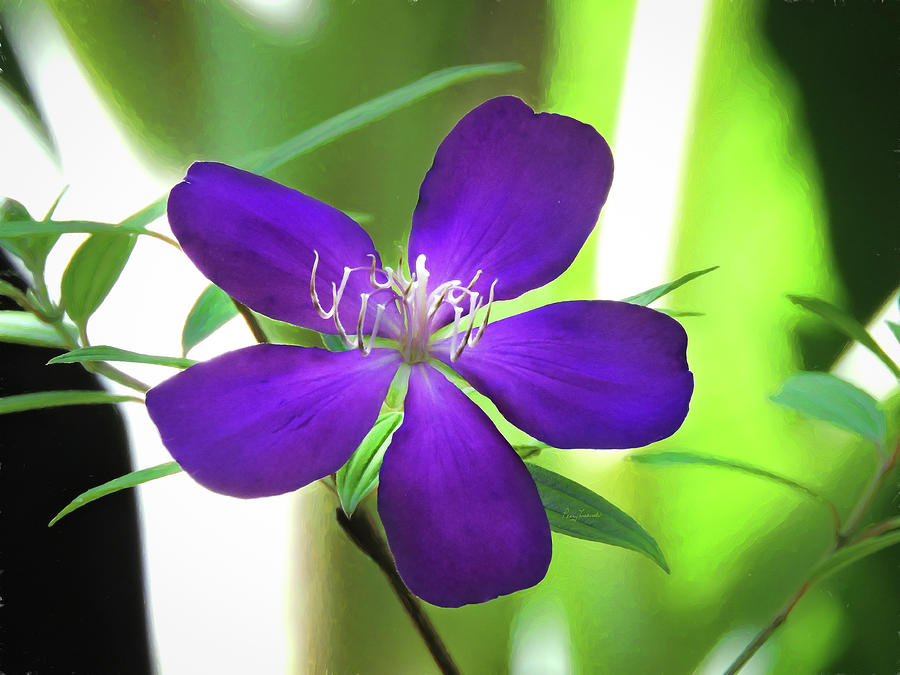 Poppin Purple Flower Painting