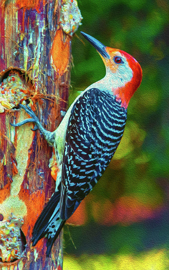 Popping Color Woodpecker Photograph by Jim Moore