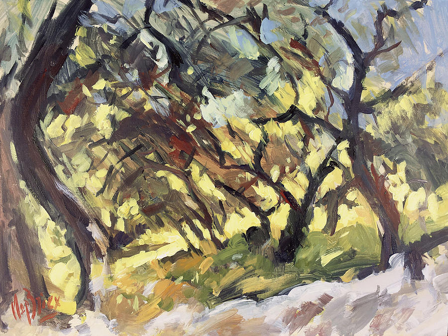 Popping sunlight through the olive grove Painting by Nop Briex