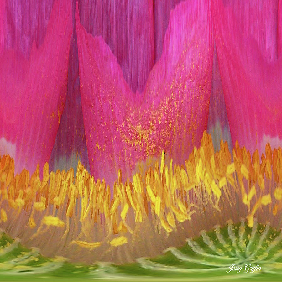 Poppy Abstract Digital Art by Jerry Griffin