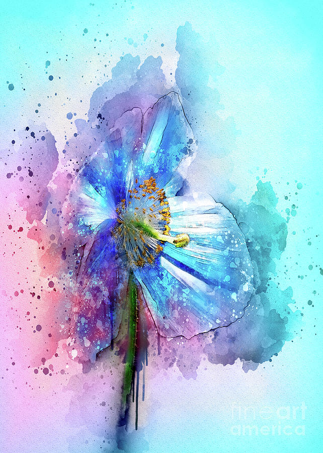 Poppy Art Painting by Svetlana Sewell