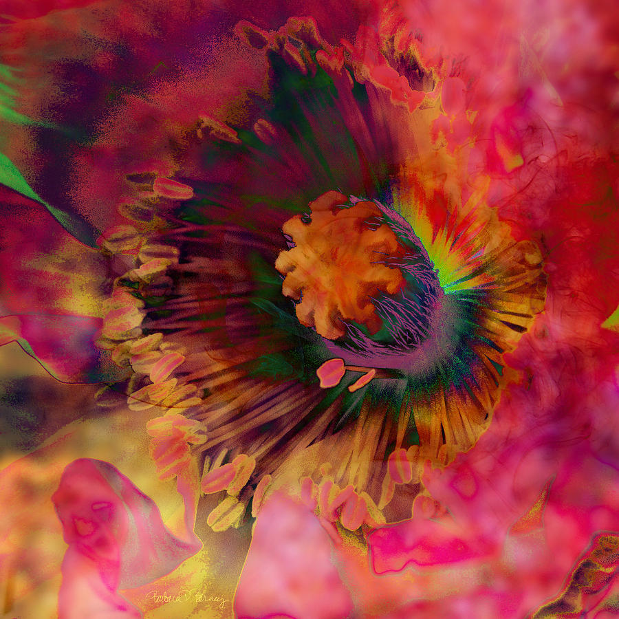 Poppy Digital Art by Barbara Berney