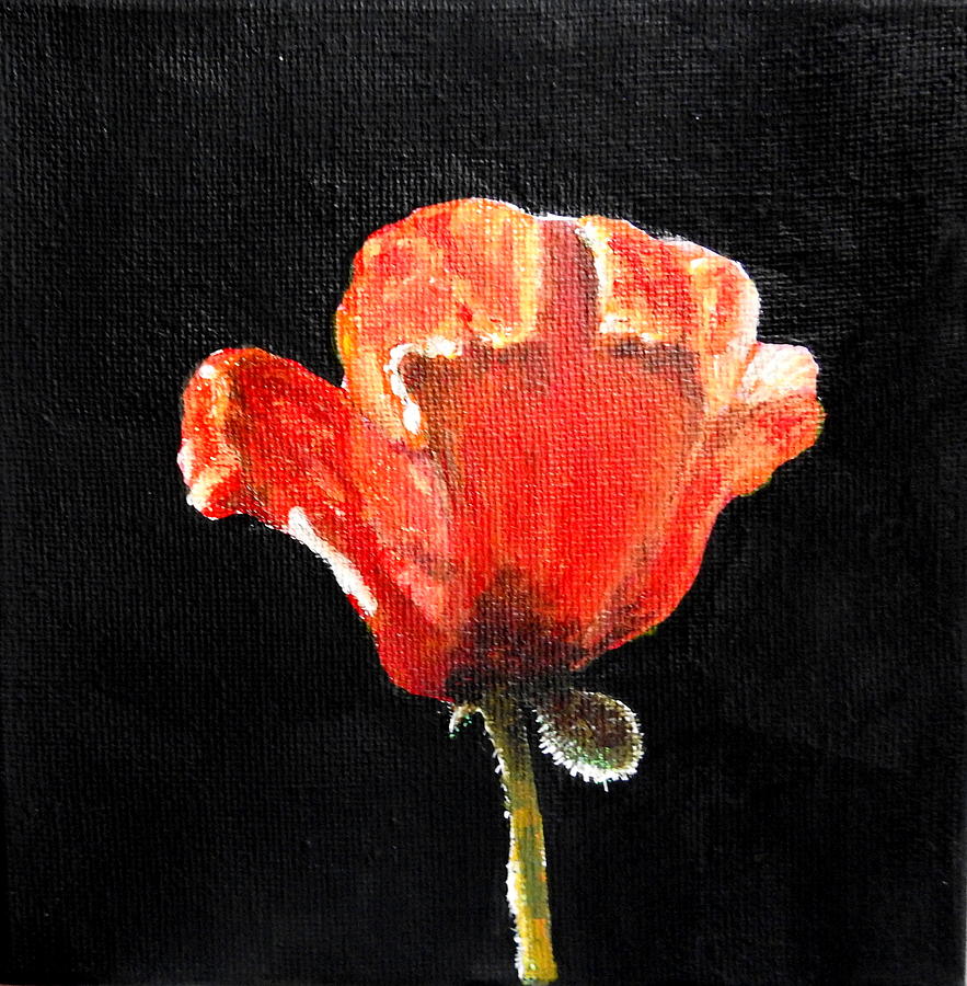 Poppy Painting by Betty-Anne McDonald