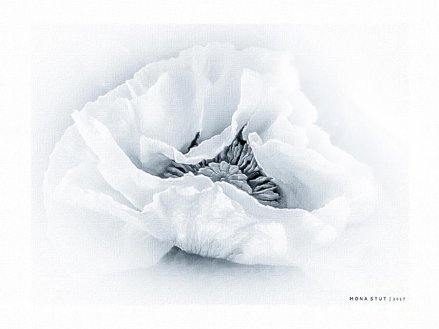 The Beauty Of White Poppy BW Digital Art by Mona Stut
