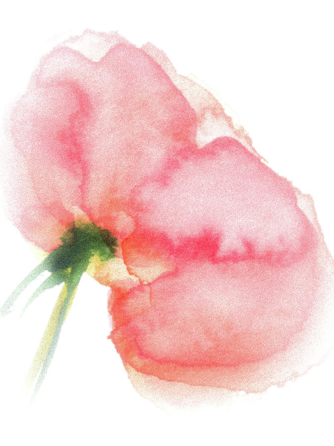 Poppy Painting by Britta Zehm