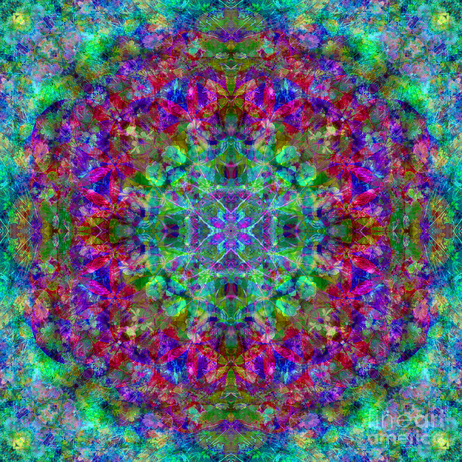 Poppy Cosmos Flower Of Life Digital Art by Susan Bloom - Pixels